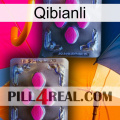 Qibianli 01